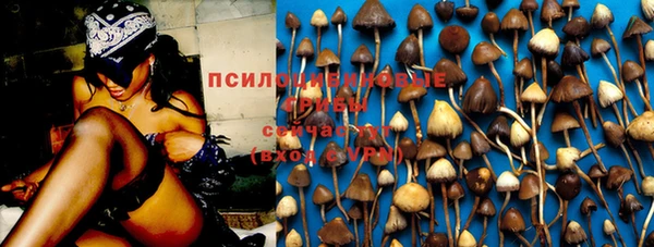 а пвп мука Баксан