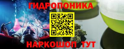 прущие грибы Мариинск