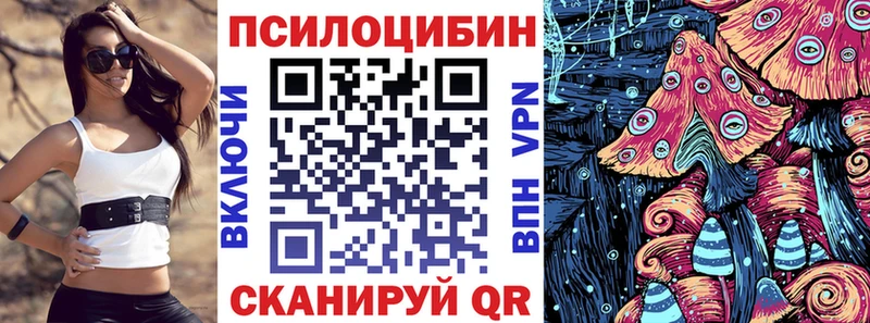 Псилоцибиновые грибы MAGIC MUSHROOMS  где можно купить наркотик  Усть-Джегута 